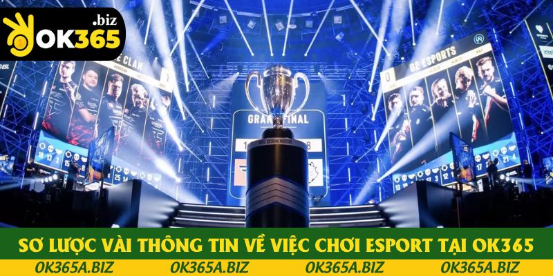 Sơ lược vài thông tin về việc chơi ESPORT tại OK365 Sơ lược vài thông tin về việc chơi ESPORT tại OK365
